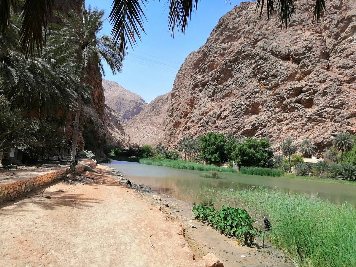 Al Manfaz Tour and Travels, Oman